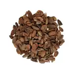 Mahuwa Seeds | Dolmi Beej