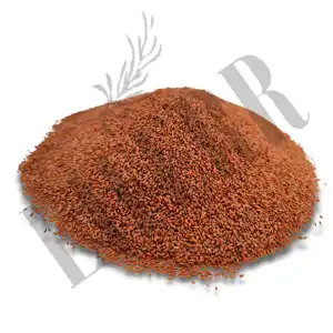 Halim Asalaiya Seeds | Rashad Mazrue | Asaliyo | Chansur | Lepidium Sativum